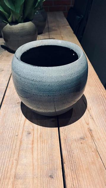 Bloempot beschikbaar voor biedingen