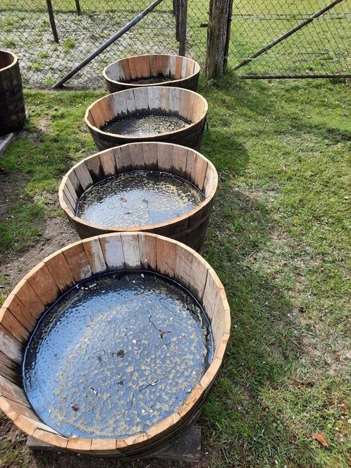 GROTE houten kuipen bloembakken dompelbad olijfboom palmboom, Tuin en Terras, Bloembakken en Plantenbakken, Nieuw, Hout, 30 tot 60 cm