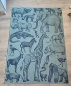 Karwei Vloerkleed Sem - Dierenprint Groen 120x170cm, Ophalen of Verzenden, Groen, Rechthoekig, 200 cm of meer