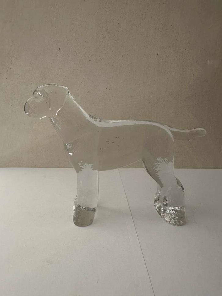Kosta Boda glazen Labrador 97831, Antiek en Kunst, Antiek | Glas en Kristal, Ophalen of Verzenden