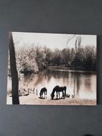 Schilderij paarden, Ophalen, 50 tot 75 cm, Schilderij, Minder dan 50 cm
