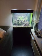 Juwel Lido 200 LED aquarium, Ophalen, Gebruikt, Gevuld zoetwateraquarium