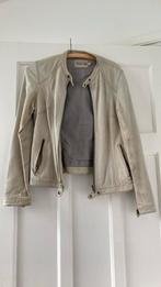 Sissy Boy lederen jasje mt M grijsgroen, Kleding | Dames, Maat 38/40 (M), Sissy-Boy, Ophalen of Verzenden, Jasje
