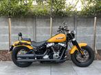HARLEY-DAVIDSON SOFTAIL SLIM FLSL / 5HD / KESSTECH UITLAAT /, Motoren, Motoren | Harley-Davidson, 2 cilinders, 1745 cc, Chopper