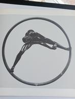 Eddy Roos - Sculpturen uitgave, Ophalen of Verzenden, Eddy Roos