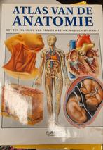 Atlas van de anatomie, Boeken, Overige wetenschappen, Ophalen of Verzenden, Zo goed als nieuw