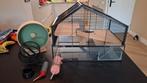 Glazen Hamsterkooi 'huisje' met extra's, Kooi, Minder dan 75 cm, Zo goed als nieuw, Hamster