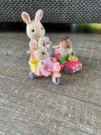 Sylvanian 5040, Kinderen en Baby's, Ophalen of Verzenden, Zo goed als nieuw