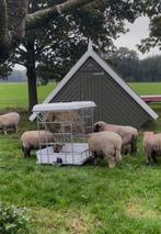 Hooi ruif met voerbak, Dieren en Toebehoren, Stalling en Weidegang, Toebehoren