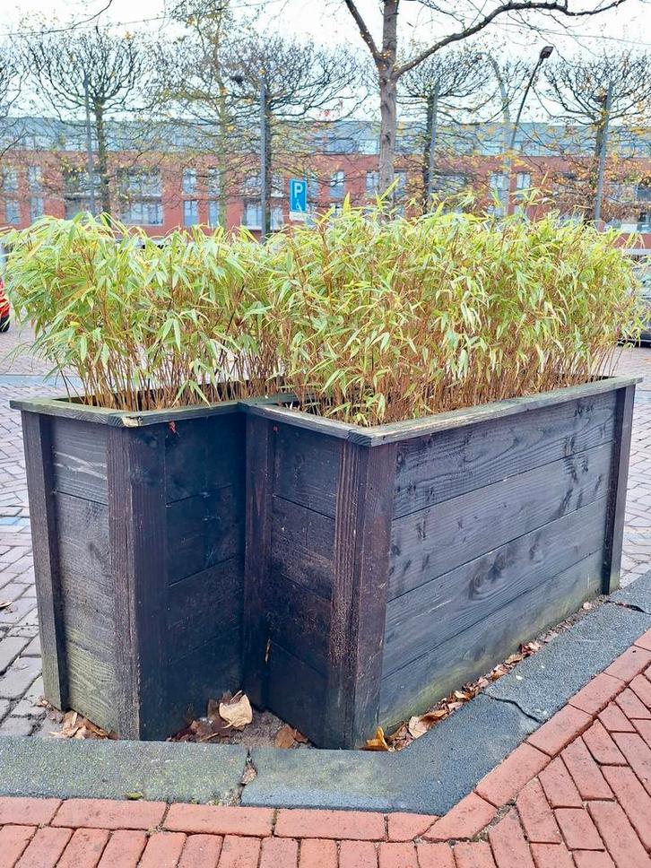 Plantenbakken, Tuin en Terras, Bloembakken en Plantenbakken, Gebruikt, Hout, Tuin, 60 cm of meer, Ophalen