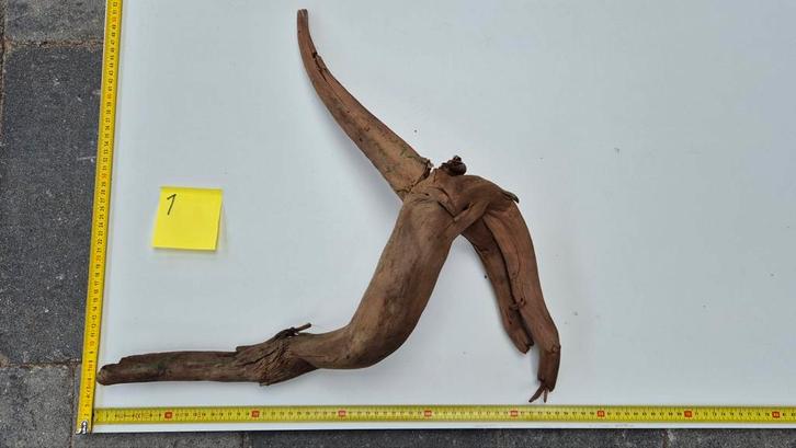 Kienhout Drifthout, Dieren en Toebehoren, Vissen | Aquaria en Toebehoren, Zo goed als nieuw, Plant(en), Steen of Hout, Ophalen of Verzenden