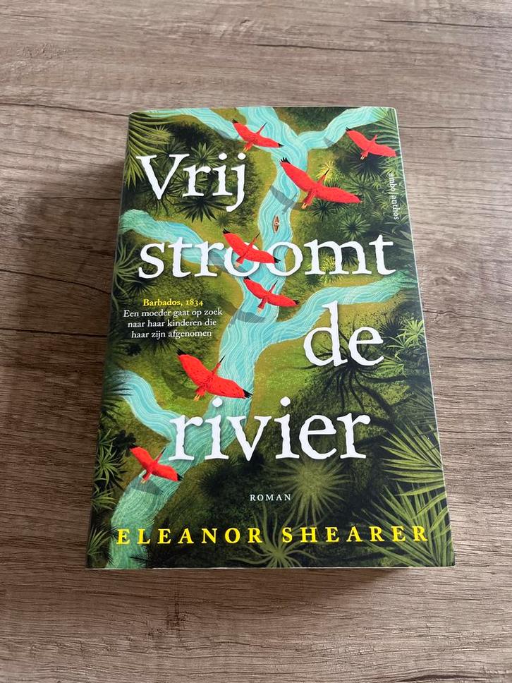 Vrij stroomt de rivier - Eleanor Shearer, Boeken, Romans, Zo goed als nieuw, Nederland, Ophalen of Verzenden