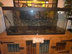 Aquarium grote bak, Ophalen, Gebruikt, Leeg aquarium
