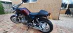 Caferacer VX800, Motoren, Cardan-aandrijving, 2 cilinders, Particulier, 800 cc