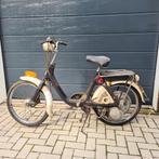 HONDA P50, Ophalen, Overige merken