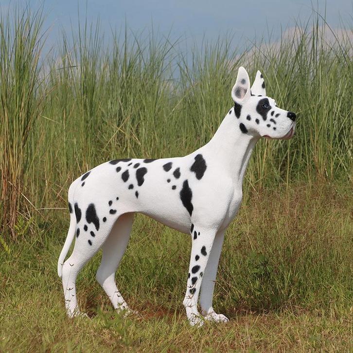 Great Dane beeld – Deense Dog- Lengte 124 cm, Verzamelen, Dierenverzamelingen, Nieuw, Overige typen, Ophalen