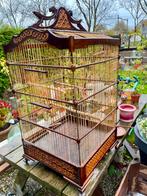 Mooie Vogelkooi  Afmetingen 40 cm x 40 cm x 75 cm, Ophalen, Gebruikt, Hout, Vogelkooi