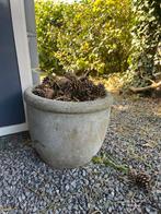 Leuke Tuinpot - Sfeervol & Praktisch!, Gebruikt, Balkon, Rond, Minder dan 40 cm
