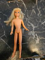 Barbie Skipper Van Mattel Jaren 70, Ophalen of Verzenden, Gebruikt