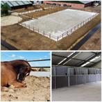 6 boxen op een rustige privé stal, Dieren en Toebehoren, Stalling en Weidegang, Weidegang, 4 paarden of pony's of meer