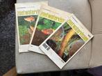 vissen Rizzla Aquarium plaatjesboeken I, II en III compleet, Vis, Zoetwatervis