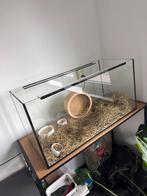 Luxe Hamster kooi, Kooi, Minder dan 75 cm, Zo goed als nieuw, Hamster