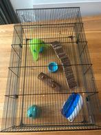 Hamsterkooi Interzoo + extra’s, Dieren en Toebehoren, Kooi, Gebruikt, Hamster, 75 tot 110 cm