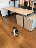 Bureau gebruikt 200x80 cm zonder hond Flip, Huis en Inrichting, Bureaus, Ophalen, In hoogte verstelbaar, Zo goed als nieuw, Bureau