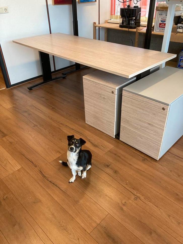 Bureau gebruikt 200x80 cm zonder hond Flip, Huis en Inrichting, Bureaus, Zo goed als nieuw, Bureau, In hoogte verstelbaar, Ophalen