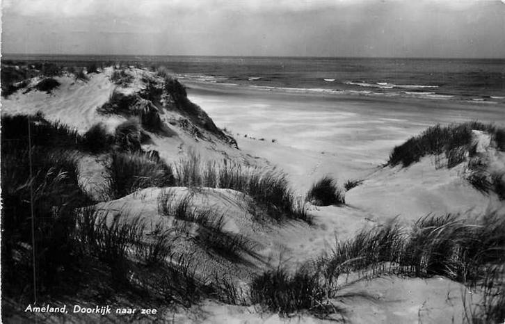 377-076-017 Ameland Doorkijk naar zee, Verzamelen, Ansichtkaarten | Nederland, Friesland, Voor 1920, Ophalen of Verzenden