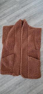 Bruin teddy gilet, Kleding | Dames, Ophalen of Verzenden, Zo goed als nieuw, Bruin