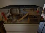 Hamsterkooi 78x48x34,5 cm - Veel toebehoren, Dieren en Toebehoren, Kooi, 75 tot 110 cm, Ophalen, Minder dan 60 cm