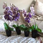 4x kunst orchideeën in pot., Ophalen of Verzenden, Zo goed als nieuw