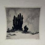Dirk Harting (1884-1970). Twee etsen, Antiek en Kunst, Kunst | Etsen en Gravures, Ophalen of Verzenden
