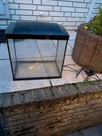 Aquarium met benodigdheden, Dieren en Toebehoren, Vissen | Aquaria en Toebehoren, Ophalen of Verzenden, Zo goed als nieuw, Leeg aquarium