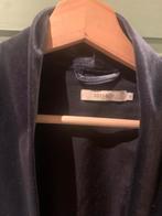 Sissy Boy fluwelen jasje - tip kerstkado!, Ophalen of Verzenden, Zo goed als nieuw, Blauw