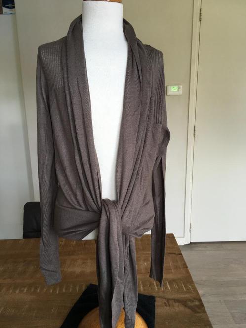 PROMISS omslag vest nieuwstaat maat L grijs D25, Kleding | Dames, Truien en Vesten, Zo goed als nieuw, Maat 42/44 (L), Grijs, Ophalen of Verzenden