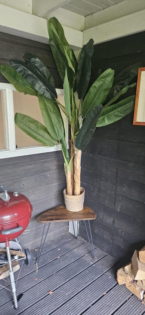 kunstplant, Huis en Inrichting, Woonaccessoires | Kunstplanten en Kunstbloemen, Gebruikt, Binnen, Buiten, Ophalen