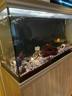 Mooie aquarium Aqualantis te koop met toebehoren, Dieren en Toebehoren, Vissen | Aquaria en Toebehoren, Ophalen, Zo goed als nieuw