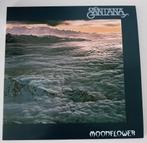 Santana – Moonflower
2 LP Music On Vinyl, Ophalen of Verzenden, Nieuw in verpakking, 12 inch, Poprock