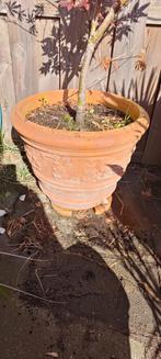 Terracotta Bloempot 43 cm diameter, Tuin en Terras, Bloempotten, Ophalen, Gebruikt, 40 cm of meer, Rond