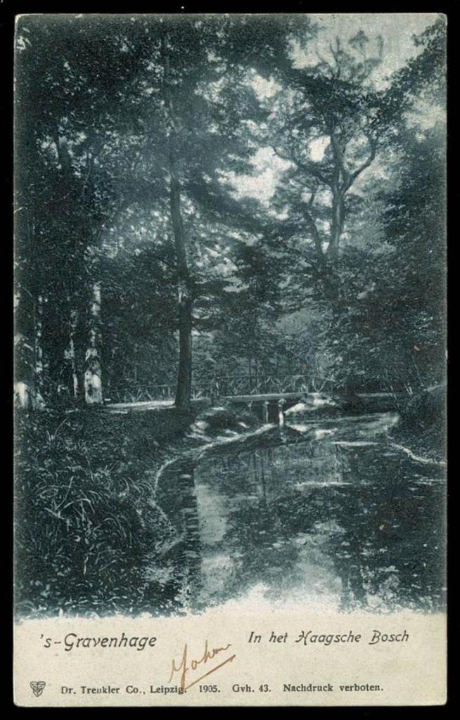 's-Gravenhage : in het Haagsche Bosch - geïllustreerde bk, Verzamelen, Verzenden, Voor 1920, Gelopen, Zuid-Holland