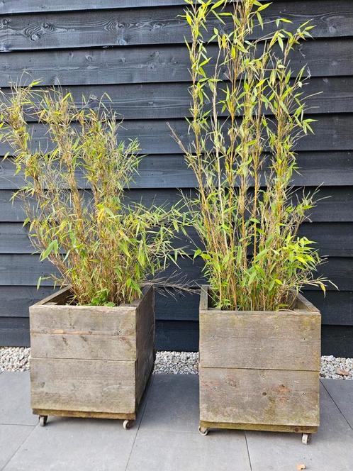 2 steigerhouten bamboe plantenbakken, Tuin en Terras, Bloembakken en Plantenbakken, Gebruikt, Hout, Balkon, Tuin, Minder dan 30 cm