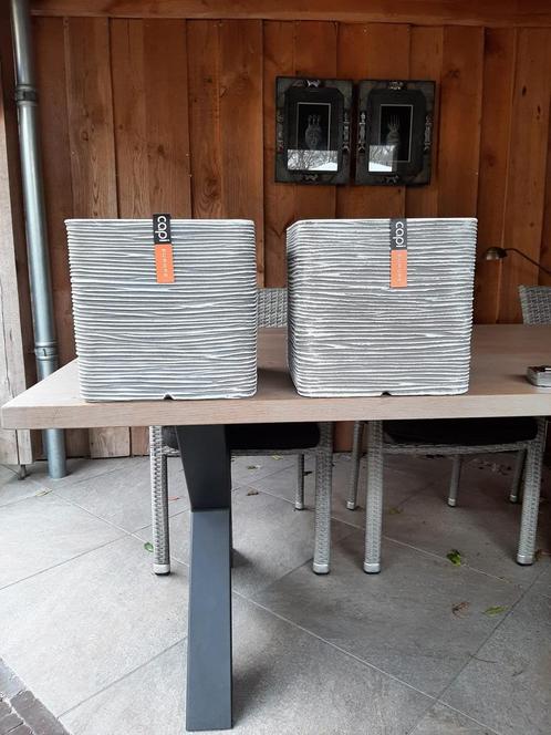 Capi Europe plantenbakken 30x30x30cm — nieuw!, Tuin en Terras, Bloembakken en Plantenbakken, Nieuw, Kunststof, Tuin, 30 tot 60 cm