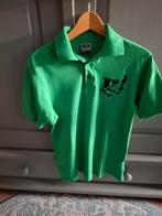 Welpen poloshirt maat S voor Scouting Keent-Moesel, Overige typen, Ophalen of Verzenden, Zo goed als nieuw, Maat 36 (S)