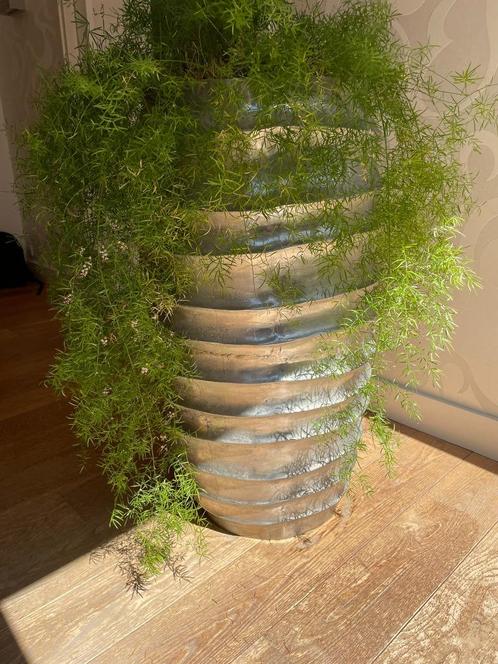 Grote metalen plantenbak voor binnen, Tuin en Terras, Bloembakken en Plantenbakken, Zo goed als nieuw, Metaal, Binnen, 60 cm of meer