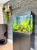 Juwel Rio 120 te koop, Dieren en Toebehoren, Ophalen, Zo goed als nieuw, Gevuld zoetwateraquarium