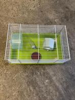 Hamster kooi, Dieren en Toebehoren, Minder dan 60 cm, Kooi, Minder dan 75 cm, Ophalen of Verzenden