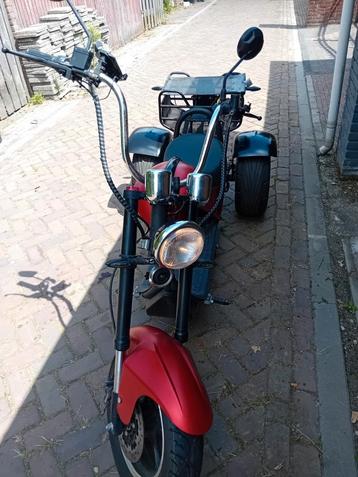 Elektrische trike aangeboden beschikbaar voor biedingen