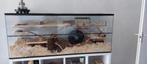 Ruime Terrarium voor knaagdieren te koop, Kooi, Hamster, Ophalen, Minder dan 60 cm